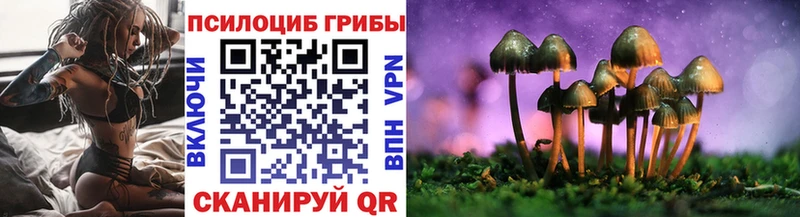 Псилоцибиновые грибы мицелий дарнет шоп Медынь