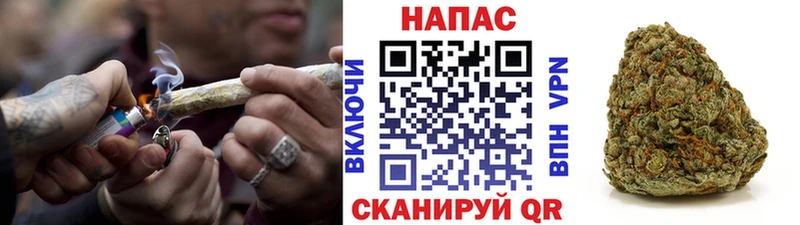 Шишки марихуана Bruce Banner как найти наркотики Медынь